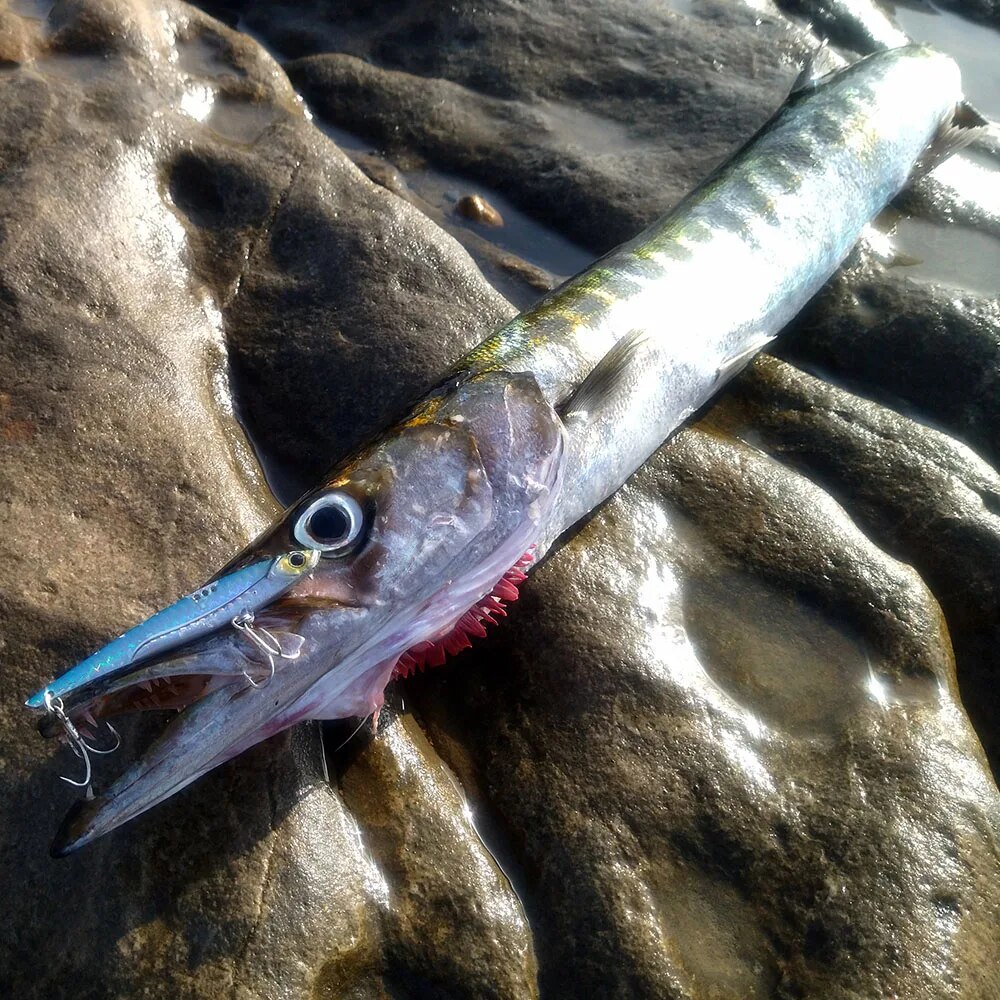 GOBAIT VIB Fishing Lure 20g 25 - Fishing Lure Blade Bait avaliação e preço