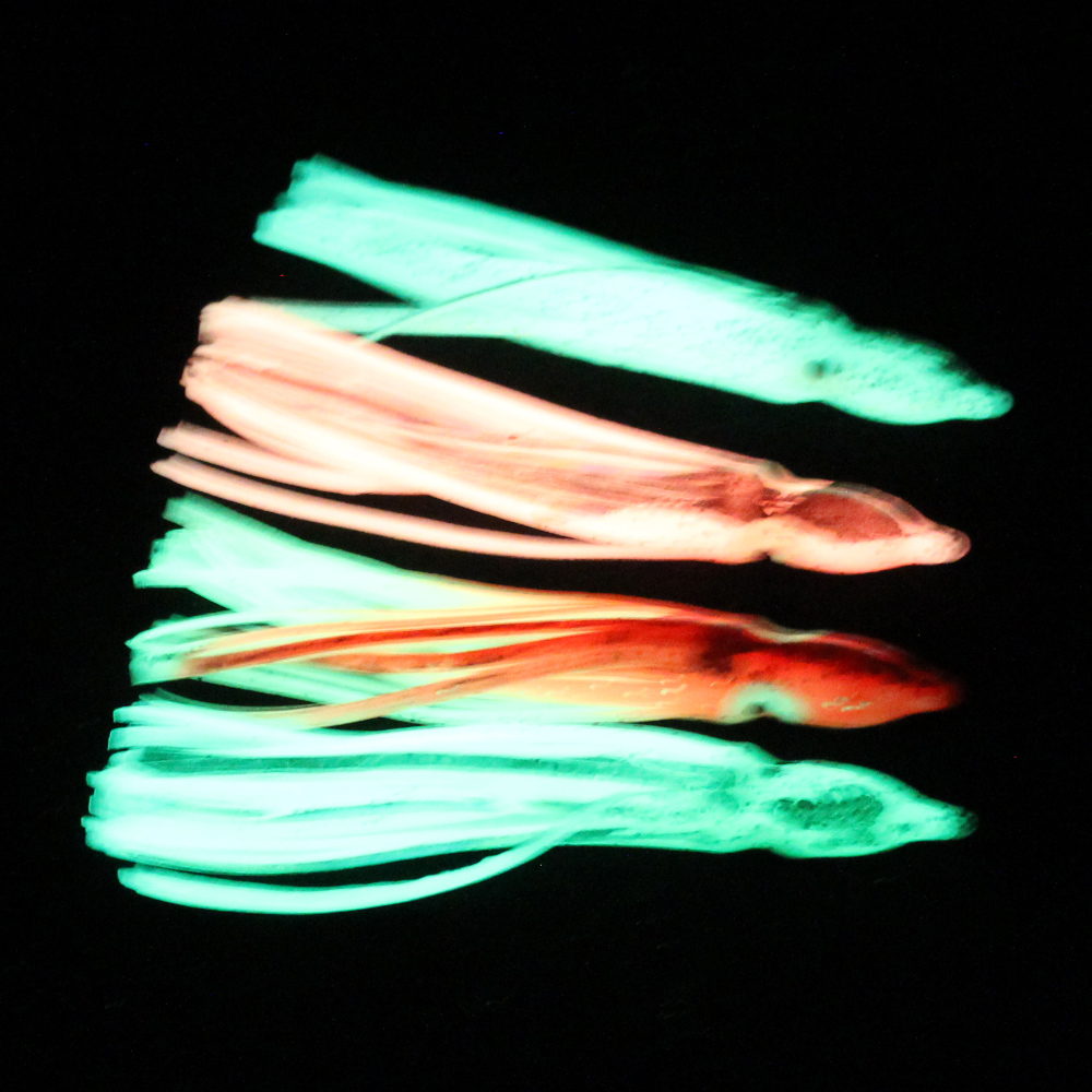 10 pcs soft light octopus squi - Fishing Lure Buzzbait avaliação e preço